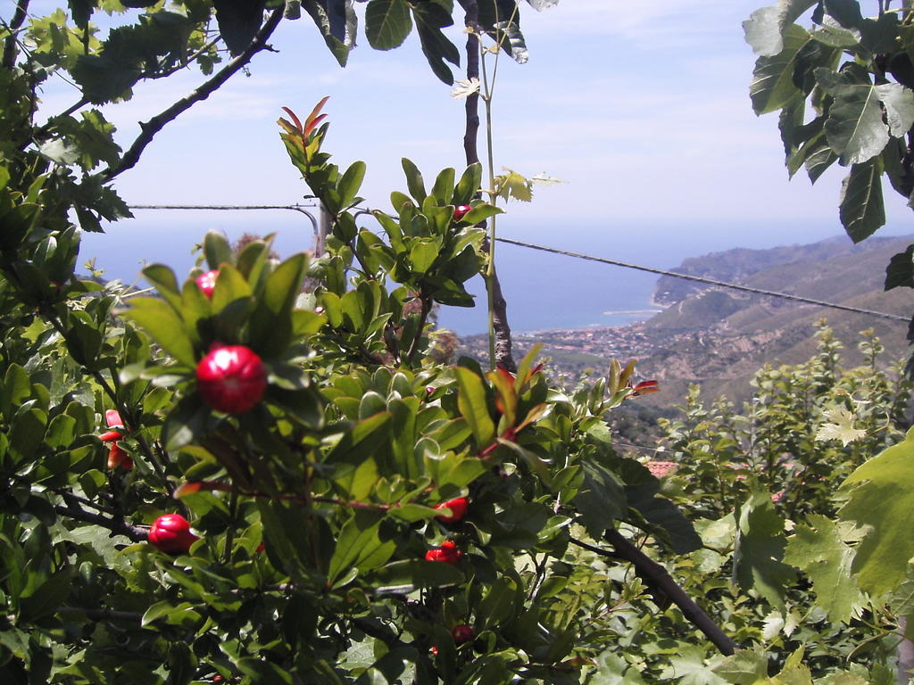Bed and Breakfast Cilento San Mauro Cilento Exteriér fotografie